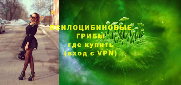 дживик Арсеньев
