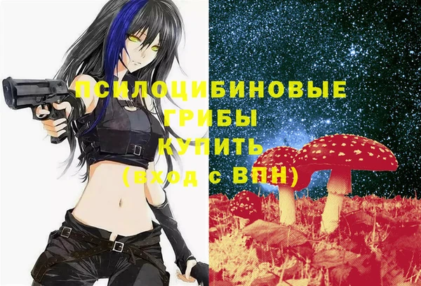 тгк Зеленодольск
